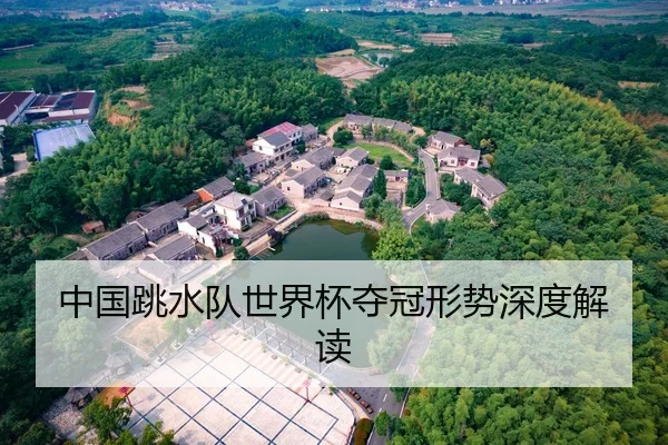 中国跳水队世界杯夺冠形势深度解读